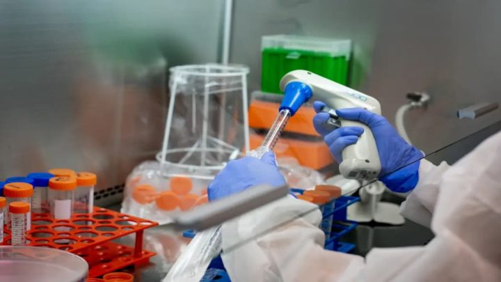 Investigadores italianos descobrem vacina contra o cancro