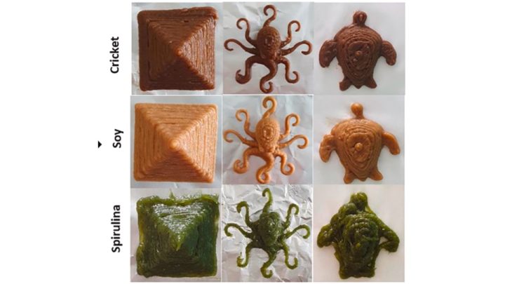 Imagem de alimentos impressos em 3D com insetos e algas
