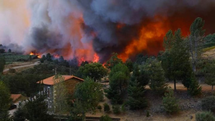 Incêndio da Serra da Estrela: Copernicus mostra 16 mil hectares ardidos