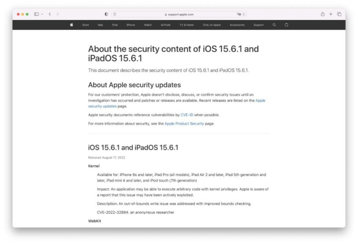 Imagem página de atualizações da Apple com descrição das vulnerabilidades corrigidas com o iOS 15.6.1