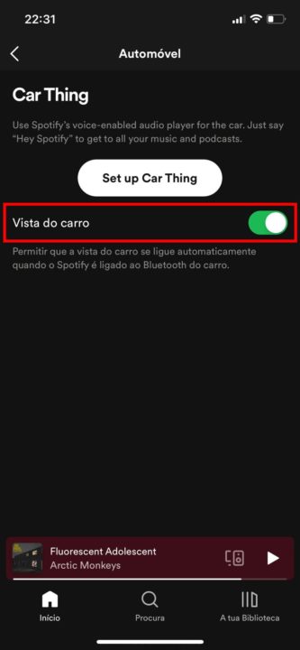 Vista do carro Spotify
