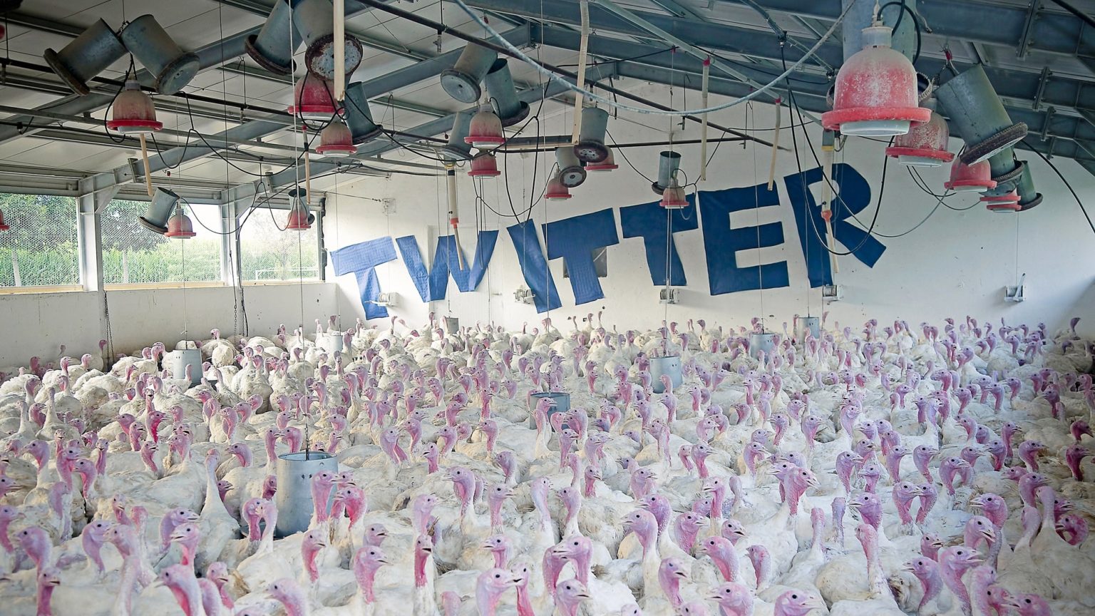 Humor Arquivos Pplware