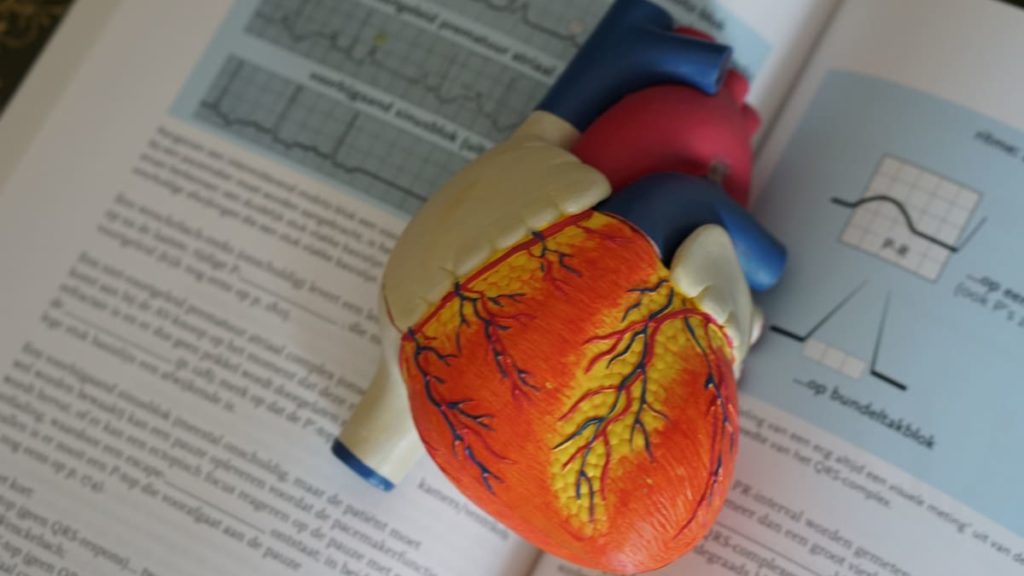 Novo penso poderá assegurar rastreios cardíacos em tempo real