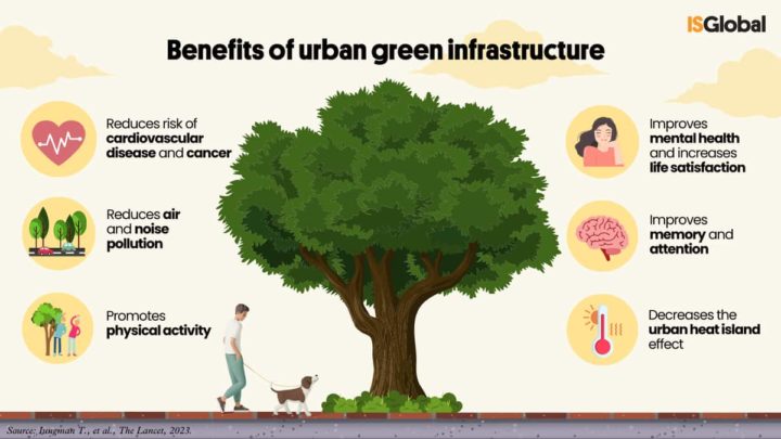 Benefícios das árvores