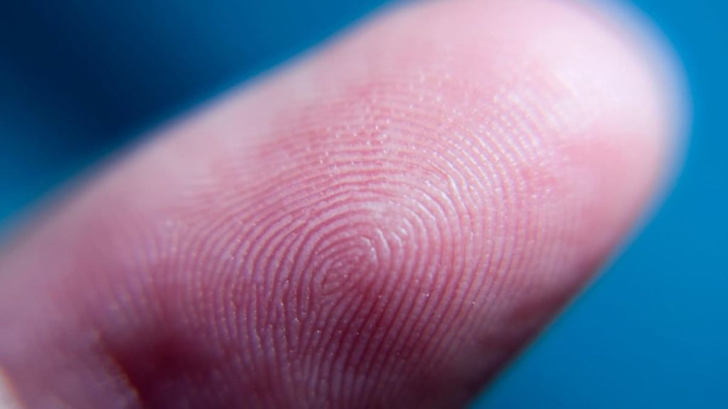 Por que é que temos impressões digitais, sabe?