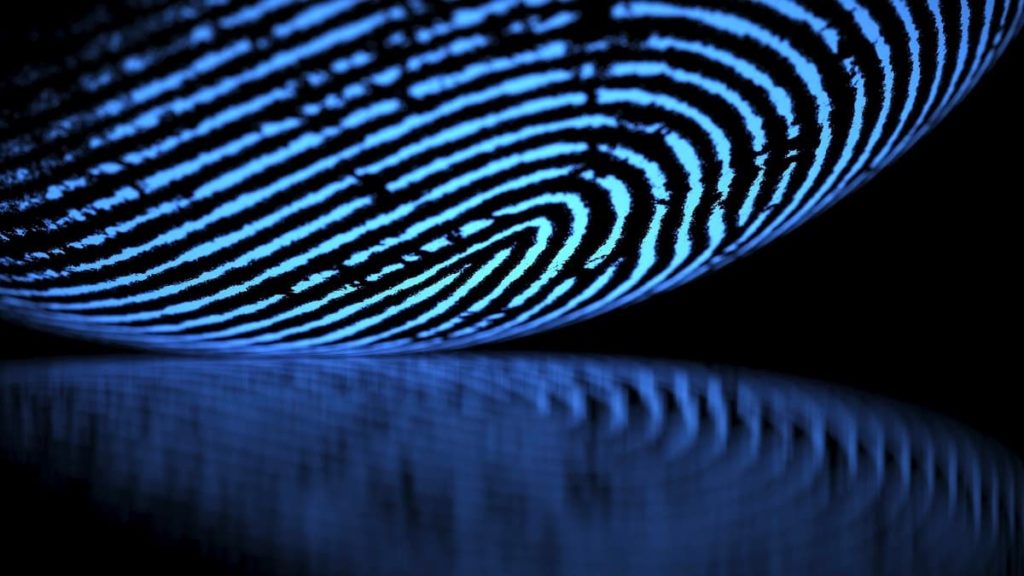 “Pessoas inocentes podem ser absolvidas”: as impressões digitais humanas não são únicas?