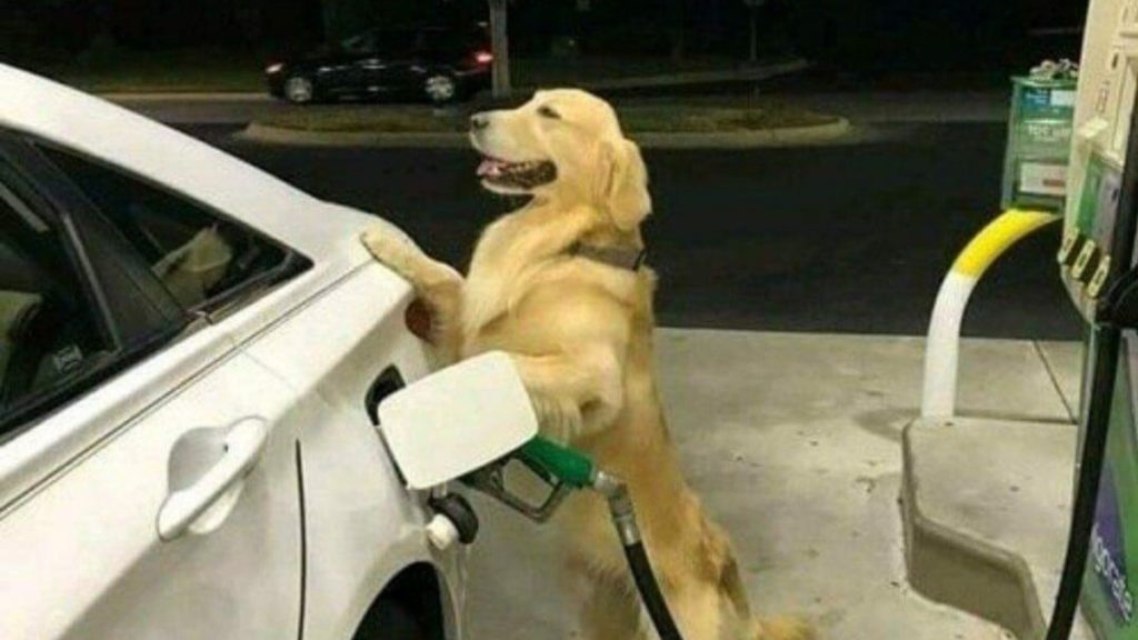 E Porque Hoje é Sexta