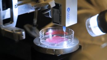 Bioimpressão 3D