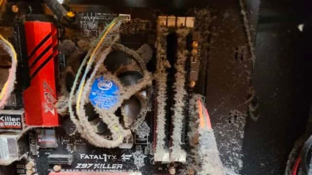 Este homem não limpava o PC há seis anos… O resultado é, como diz o próprio, “embaraçoso”