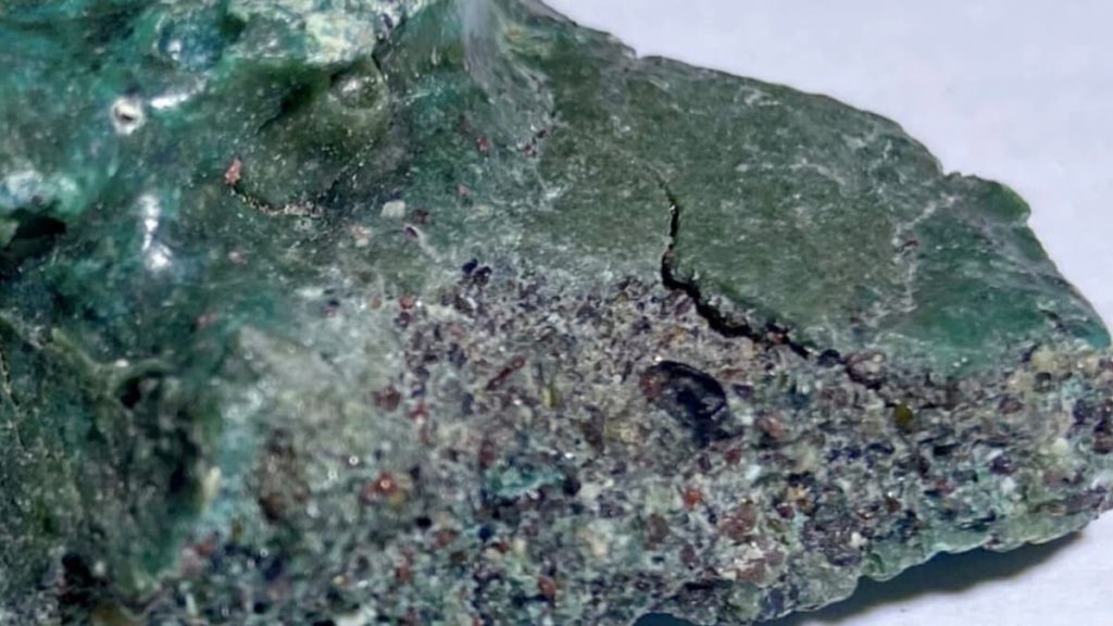 Cientistas fazem descobertas “perturbadoras” numa ilha remota do Brasil