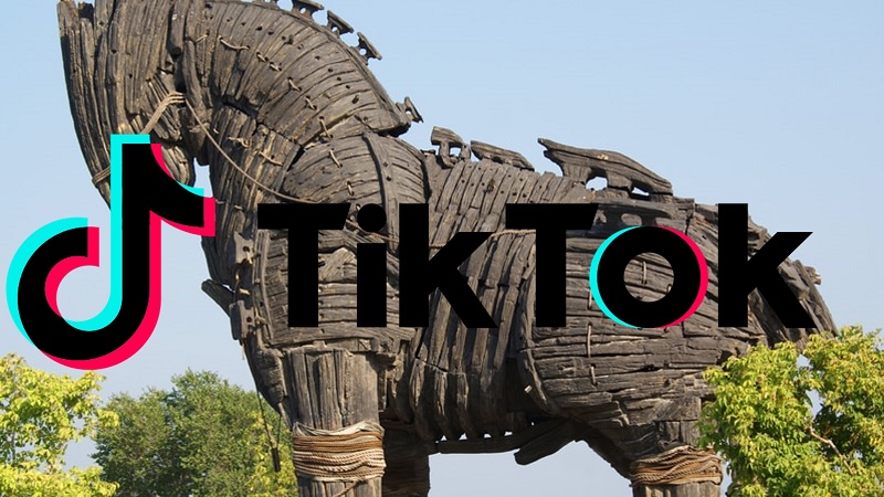 jogo de cavalo online google｜Pesquisa do TikTok