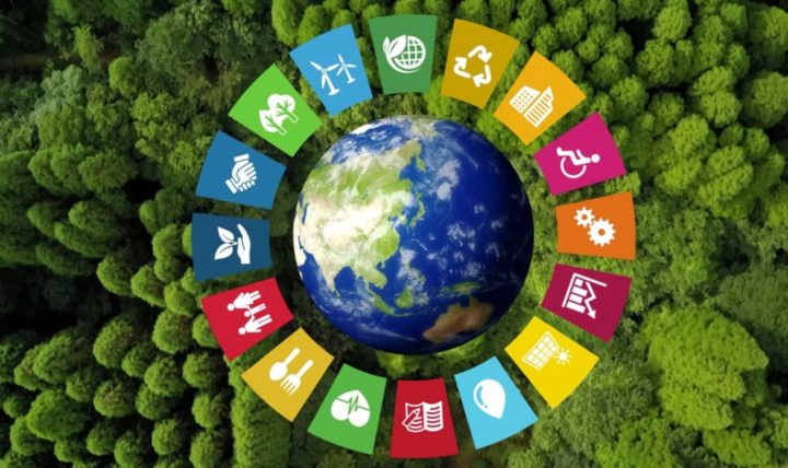Sabe o que são ODS? Conheça os 17 da agenda 2030