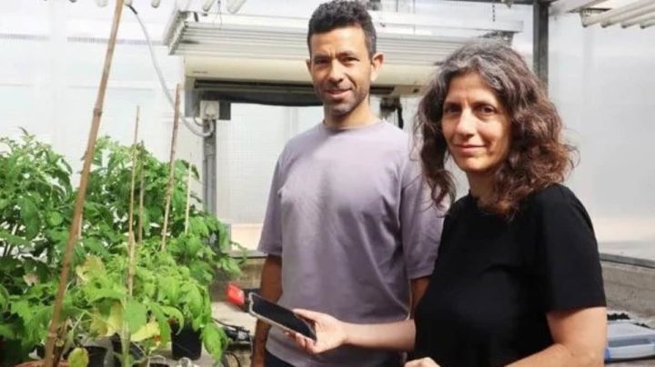 Yossi Yovel (esquerda) e Lilach Hadany (direita), professores na Tel Aviv University e líderes da investigação que concluiu que as plantas emitem sons