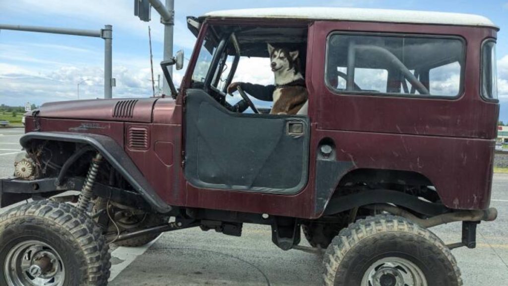 E Porque Hoje é Sexta