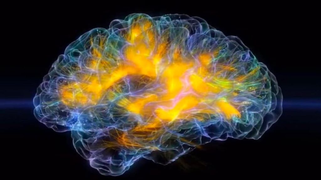 Descoberto um surto de atividade cerebral em pessoas no momento da sua morte