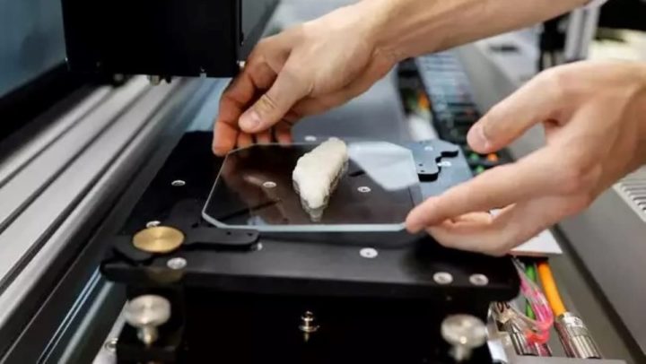 Peixe cultivado em laboratório utilizando impressão 3D