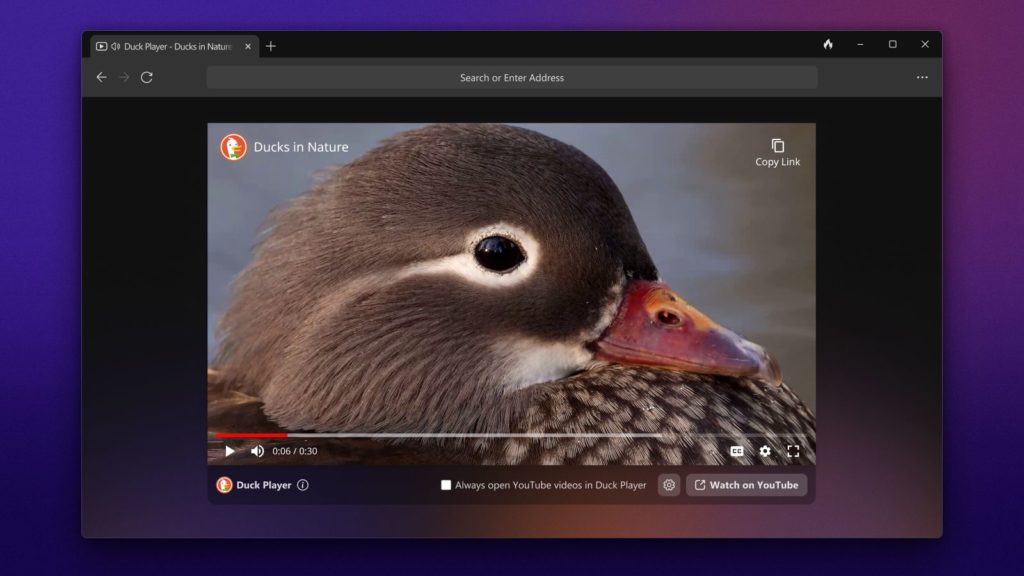 DuckDuckGo Windows Internet Browser Privacy