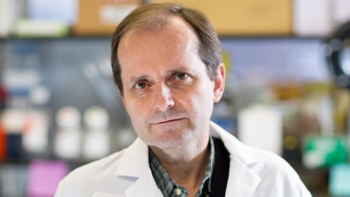 Leonard Augenlicht, professor de medicina e biologia celular no Albert Einstein College of Medicine