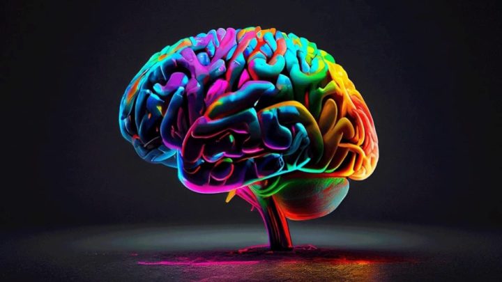 Representação do cérebro sob drogas psicadélicas