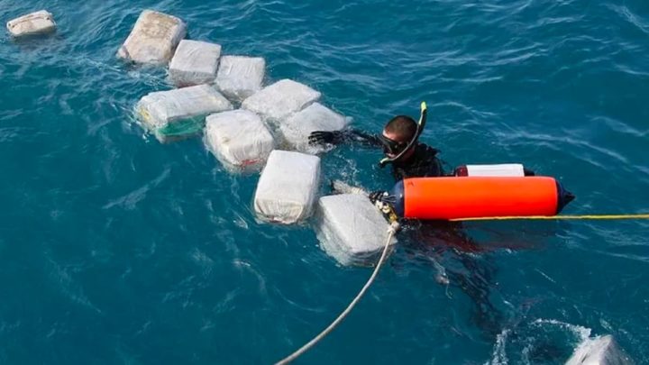 Imagem de fardos de cocaína a boiar no mar sujeitos a irem parar à barriga dos tubarões