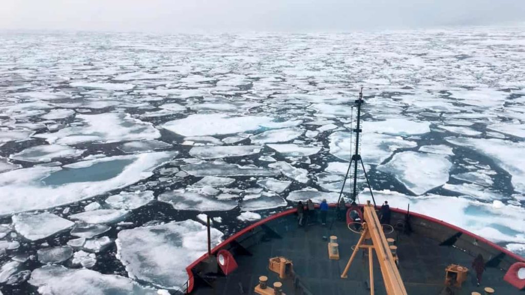 O que significa a “atlantificação” do Oceano Ártico?
