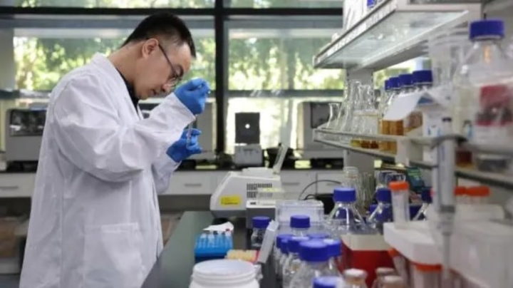 Fotografia tirada no dia 13 de agosto de 2023. Investigador a conduzir uma experiência no laboratório do Instituto de Biotecnologia Industrial de Tianjin da Academia Chinesa. Foto: Xinhua