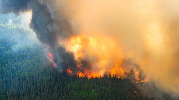 Imagem dos incêndios no Canadá que levaram muitas pessoas a pedir ajuda aos bombeiros via SOS Emergência via Satélite do iPhone 14