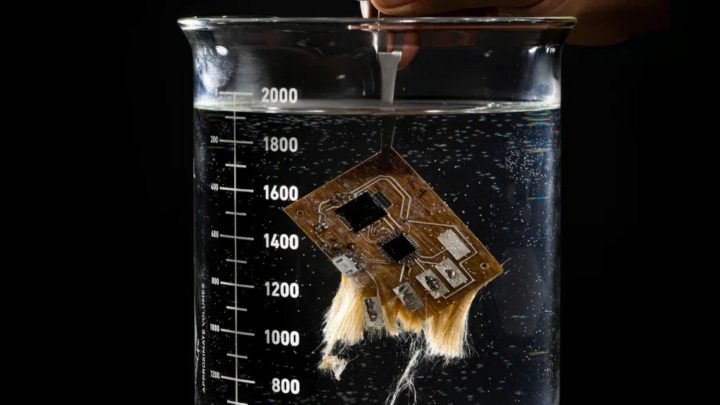 Placas de circuito que se dissolvem na água - a solução para a redução da pegada de carbono