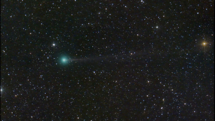 Cometa Nishimura poderá ser observado esta noite 