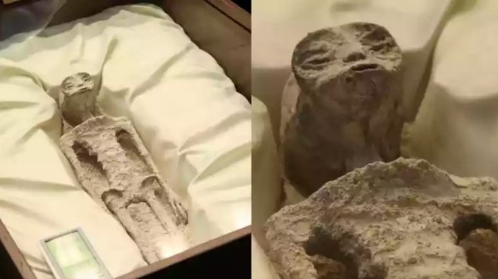 Imagem de cadávers de supostos alienígenas mostrados no México