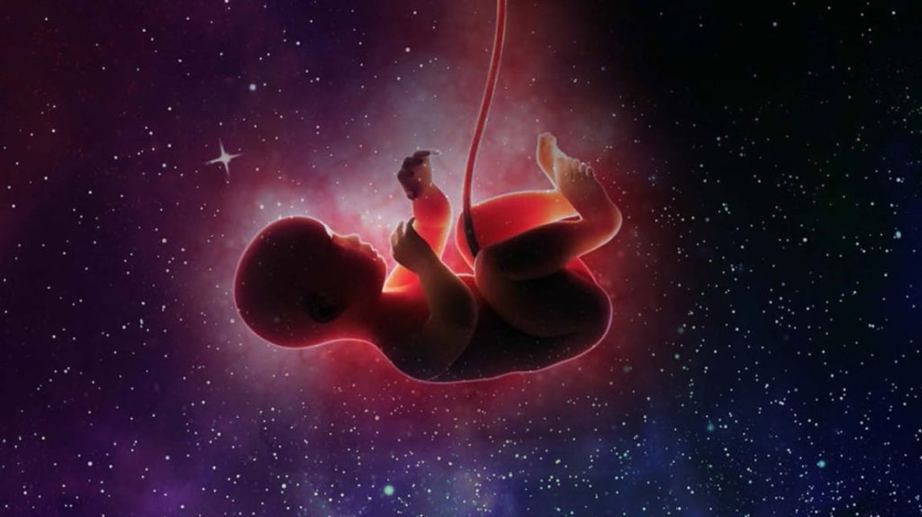 Criada incubadora de fertilização in vitro para conceber bebés no espaço