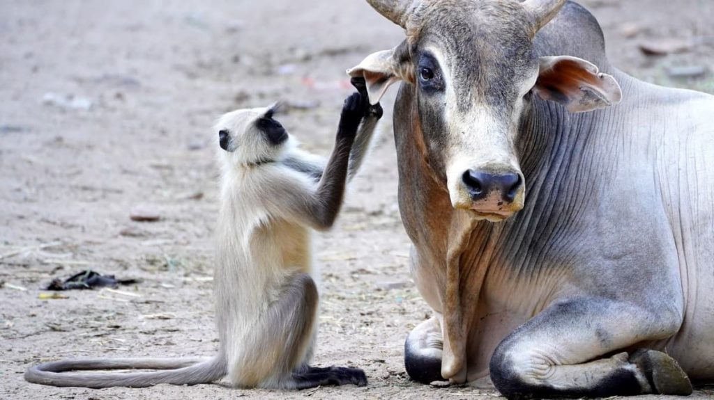 E Porque Hoje é Sexta