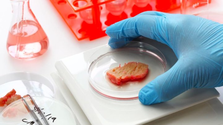 Imagem de carne cultivada que poderá ser solução para astronautas no espaço