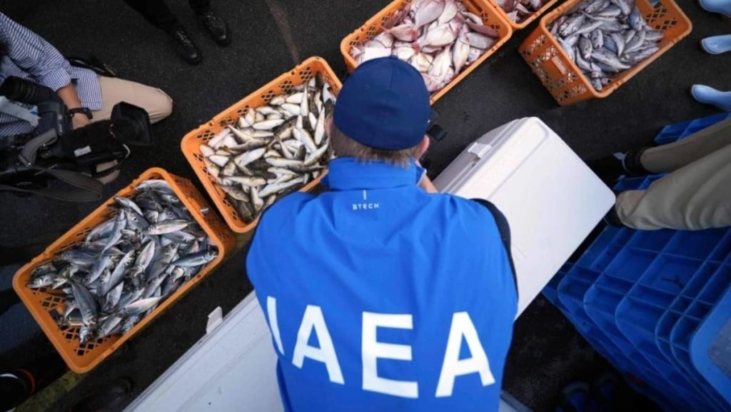 Impacto da descarga de água da central nuclear de Fukushima já está a ser investigado