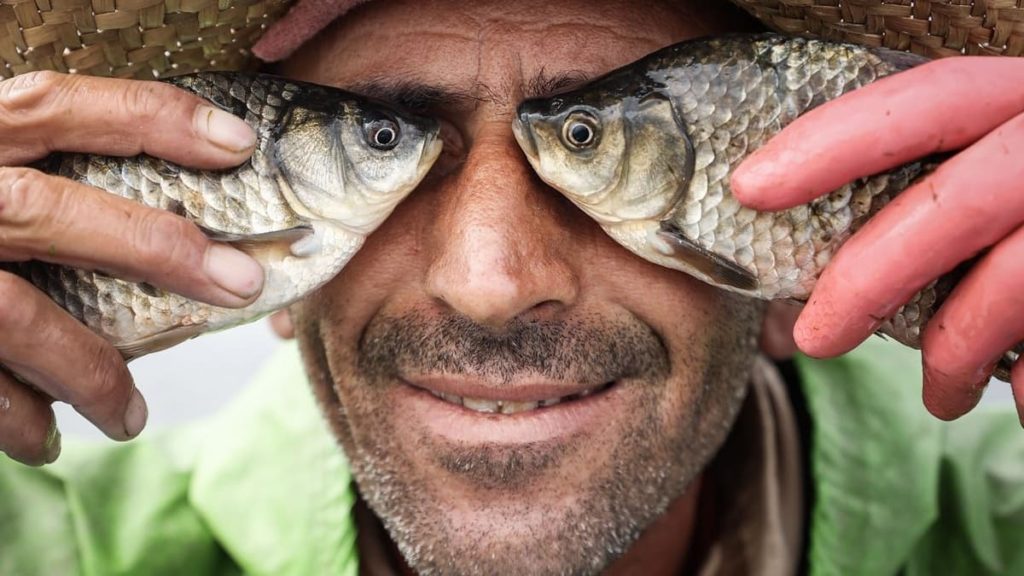 E Porque Hoje é Sexta