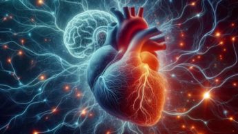 Imagem de uma "ligação extraordinária entre cérebro e coração" gerada por Inteligência Artificial (Bing Chat)