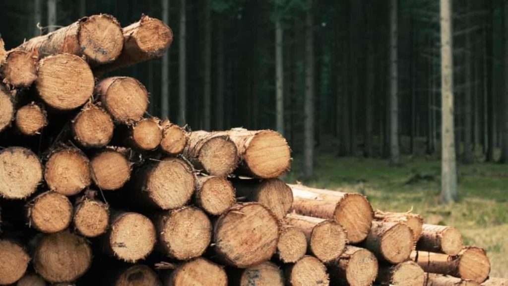 BioCharger é um carregador portátil que gera eletricidade a partir da madeira