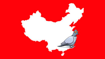 Ilustração de um pombo sobre o mapa da China