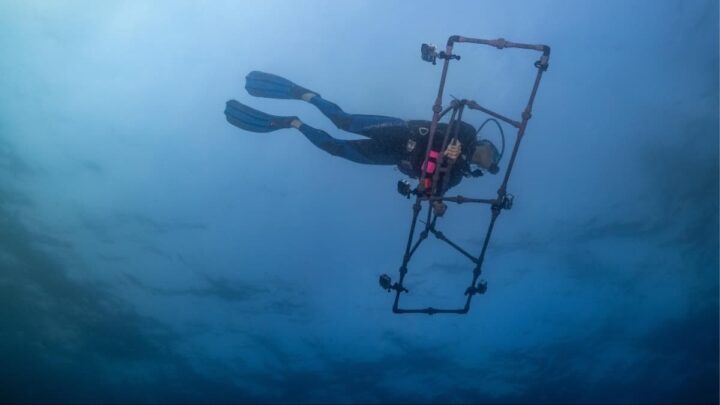 Imagem das seis câmaras GoPro Hero 10 montadas numa estrutura feita de tubos de PVC para filmar os corais