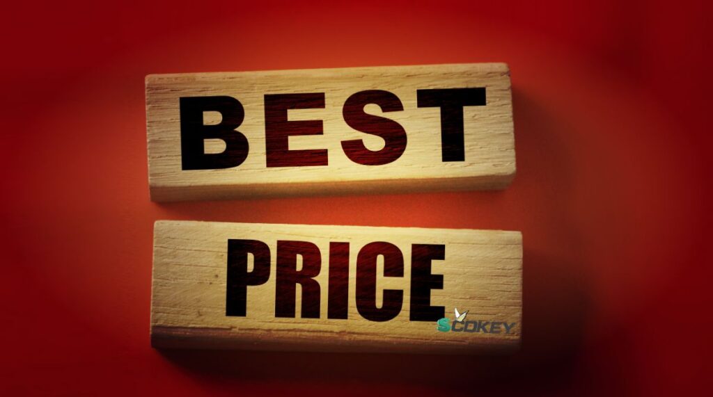 Windows 11 por 19€? Imbatível com a SCDKey! PC a topo sem gastar uma fortuna