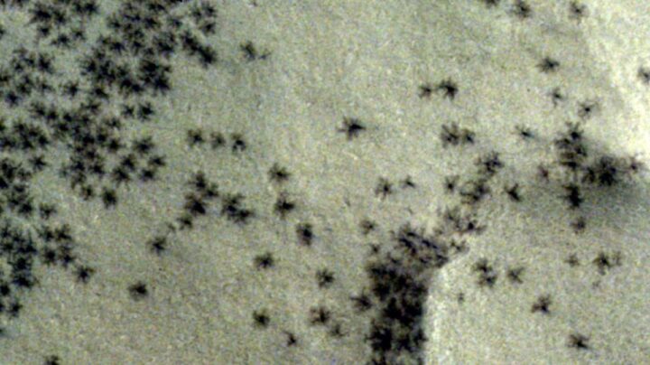 Imagem do solo de Marte coberto por "aranhas"...