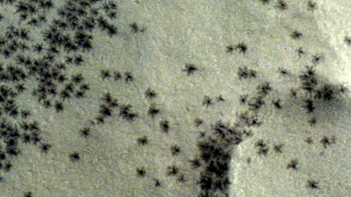 La sonda de la ESA fotografía “arañas” en la superficie de Marte