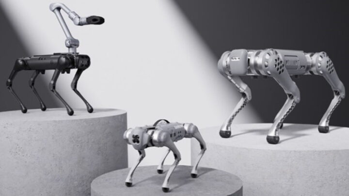Vários modelos de cães-robô da Unitree