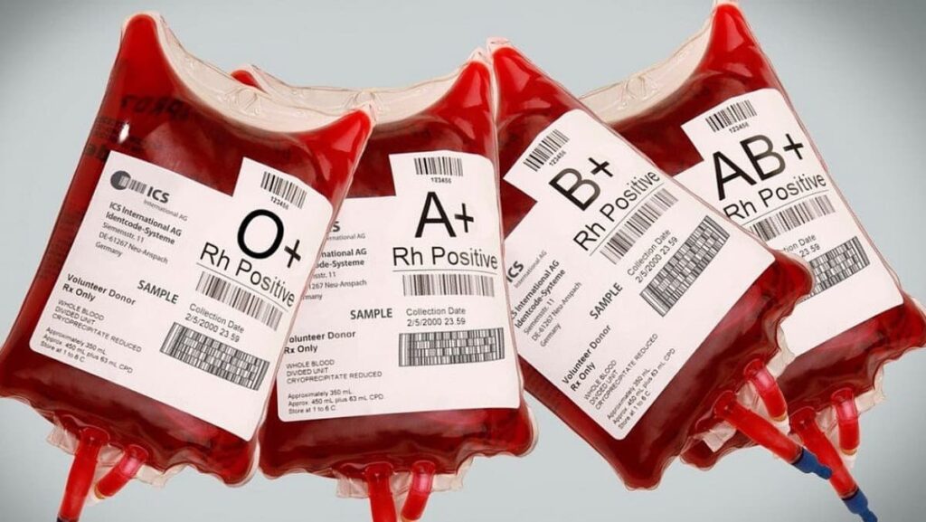 Cientistas intrigados com bactéria que transforma qualquer sangue num tipo universal