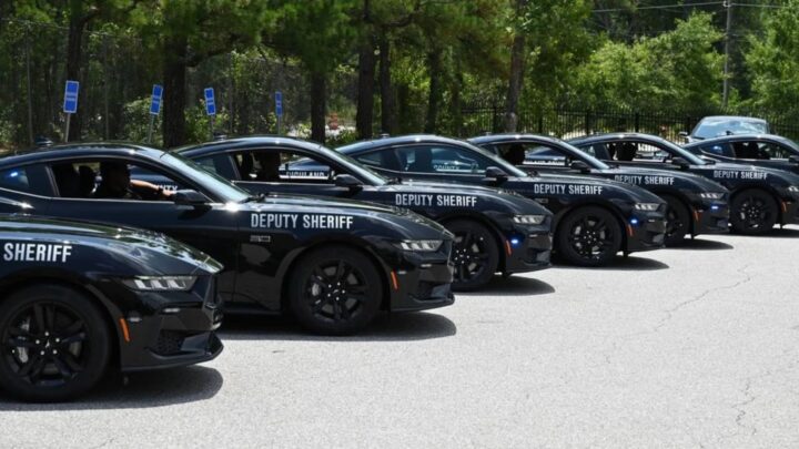 Imagem da frota de 17 carros desportivos da polícia americana