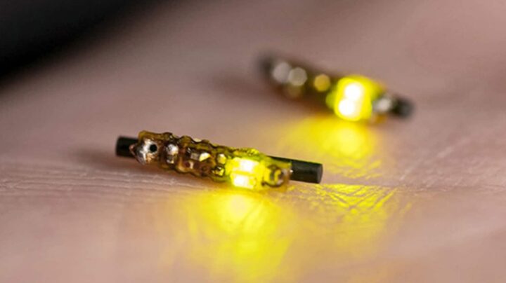 Imagem implantes minúsculos de LED para combater o cancro com luz