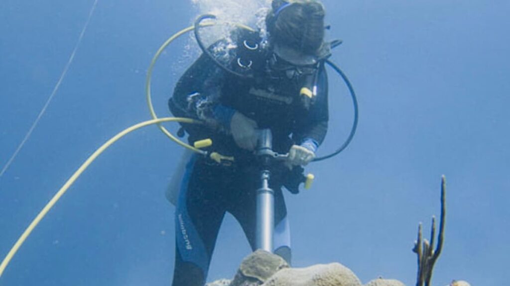 Nova batalha entre os Estados Unidos e a China: corrida à extração de urânio submarino