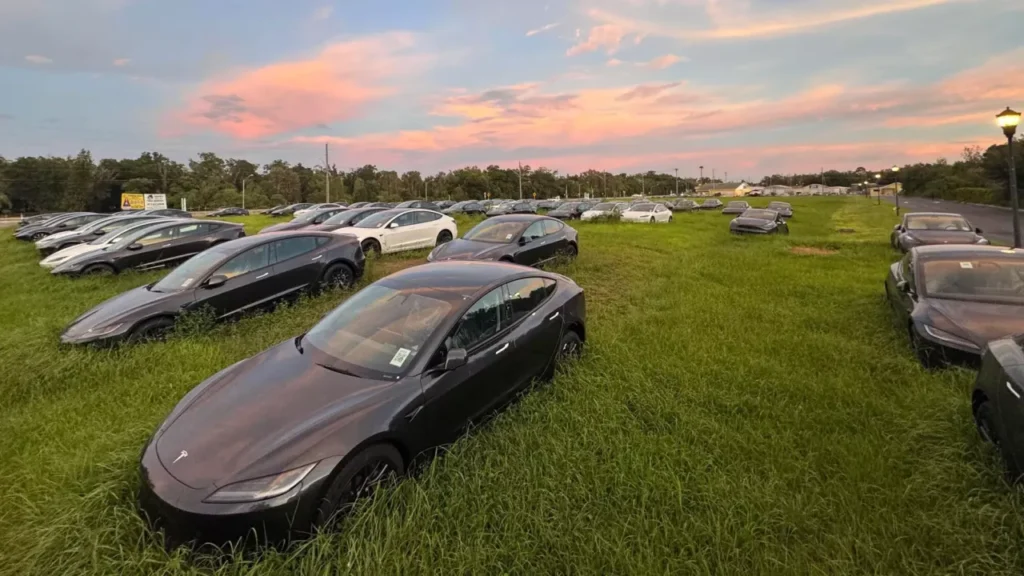 Mistério: centenas de veículos da Tesla abandonados num terreno baldio
