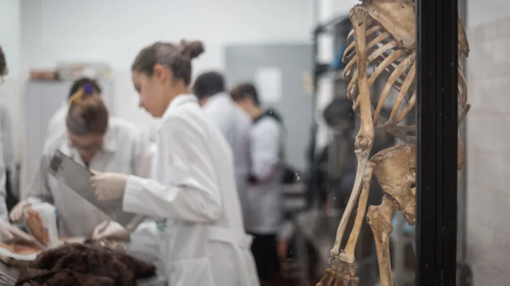 Novo gráfico mostra as invenções que mais vidas salvaram! E quem as inventou