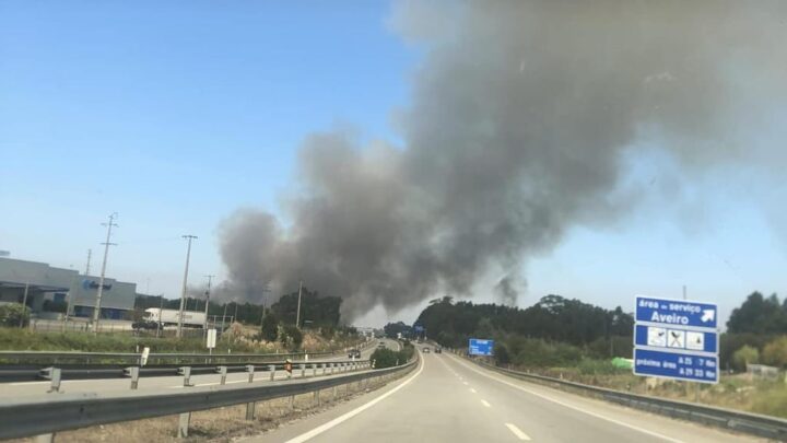 Agravamento de perigo de incêndio em Portugal! A25 cortada